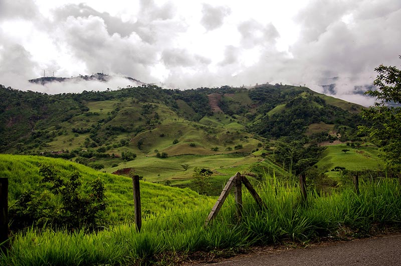 Colombian Coffee