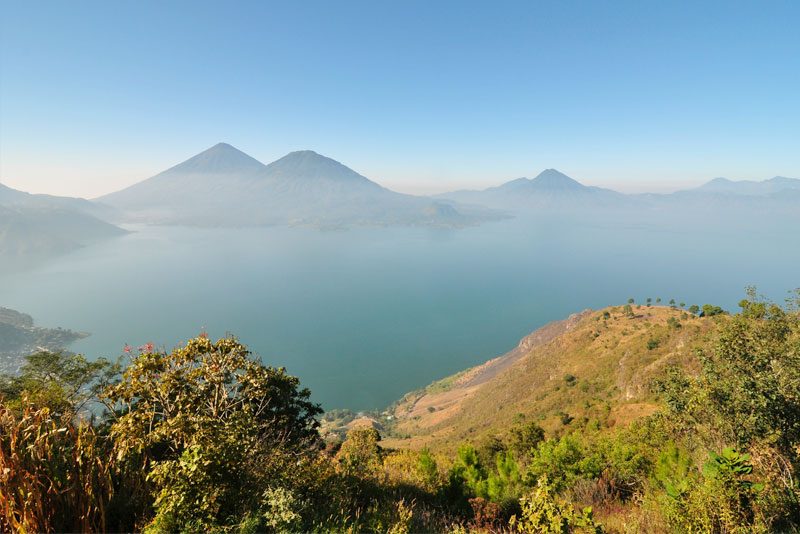 Guatemalan Coffee