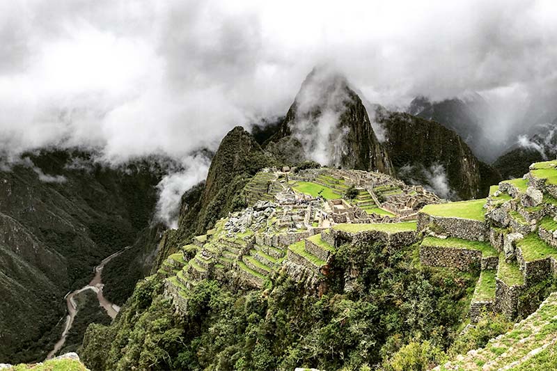 Peruvian Coffee