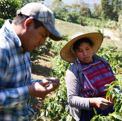 Guatemala Antigua